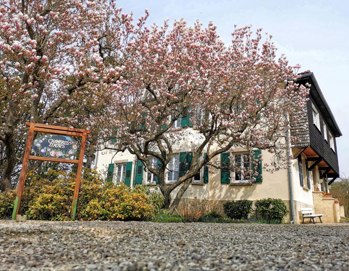 Bed and Breakfast La Tirelire Cosswiller Exterior foto